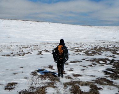 Off to work with snowshoes photo