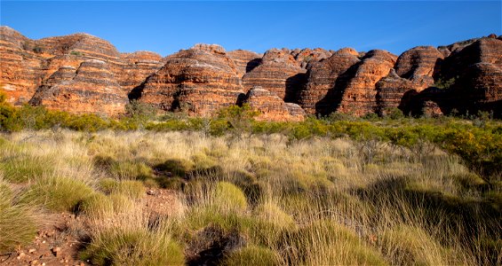 Bungle Bungles