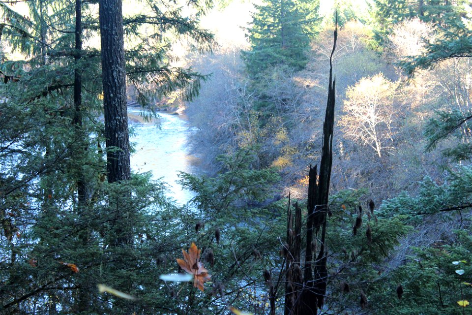 img_2006_view-of-nu-river-from-trail1jpg_49364711102_o