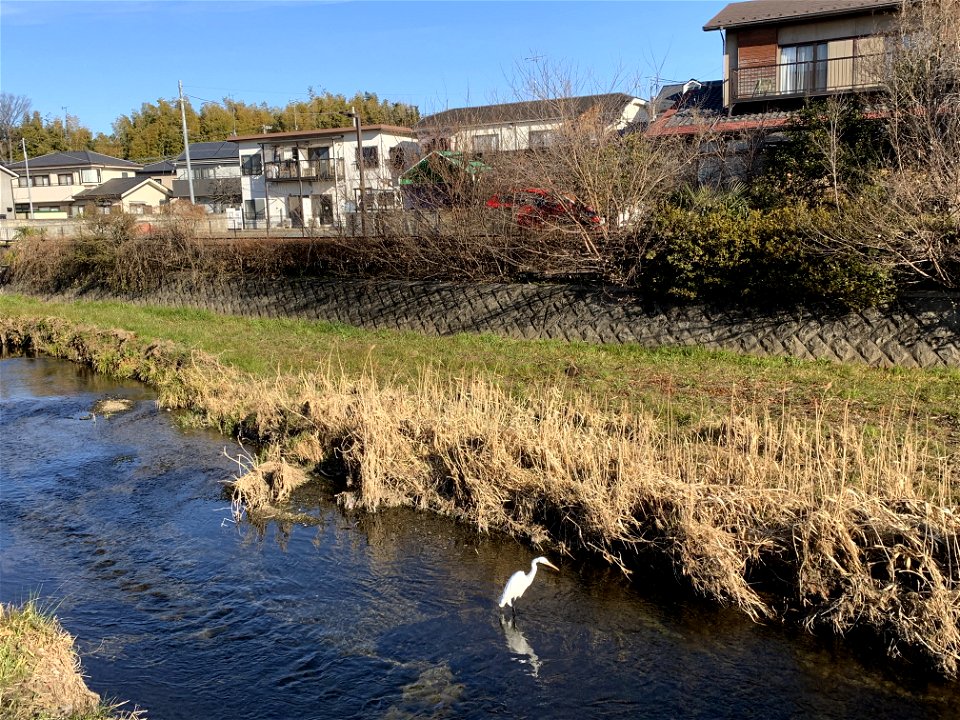 Kurome River in Koyama, Higashikurume-shi
