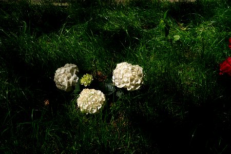 Sfanta-Vineri_cemtery- (12)