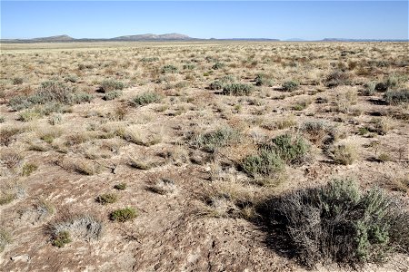 South of the Sierra Larga