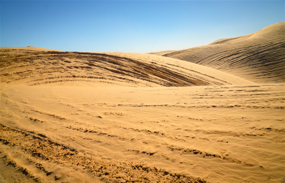 Imperial Sand Dunes