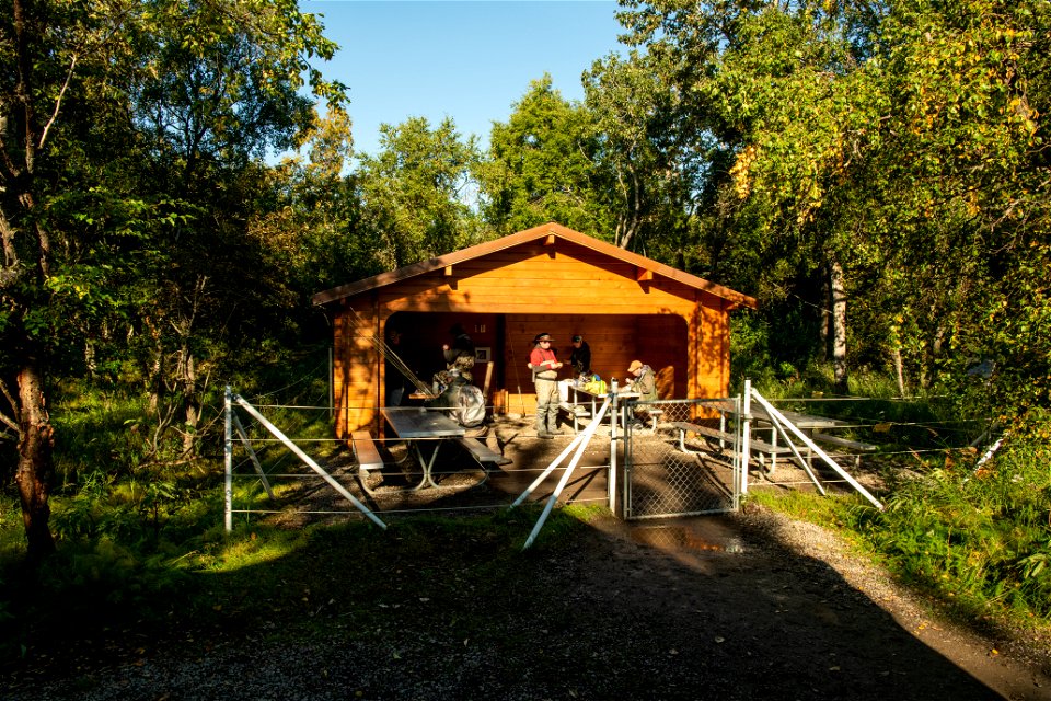 The picnic area across from the Brooks Camp Visitor Center- Photo courtesy of C. Chapman