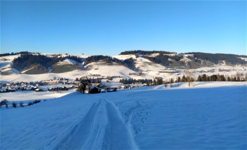 IMG_20211218_154659