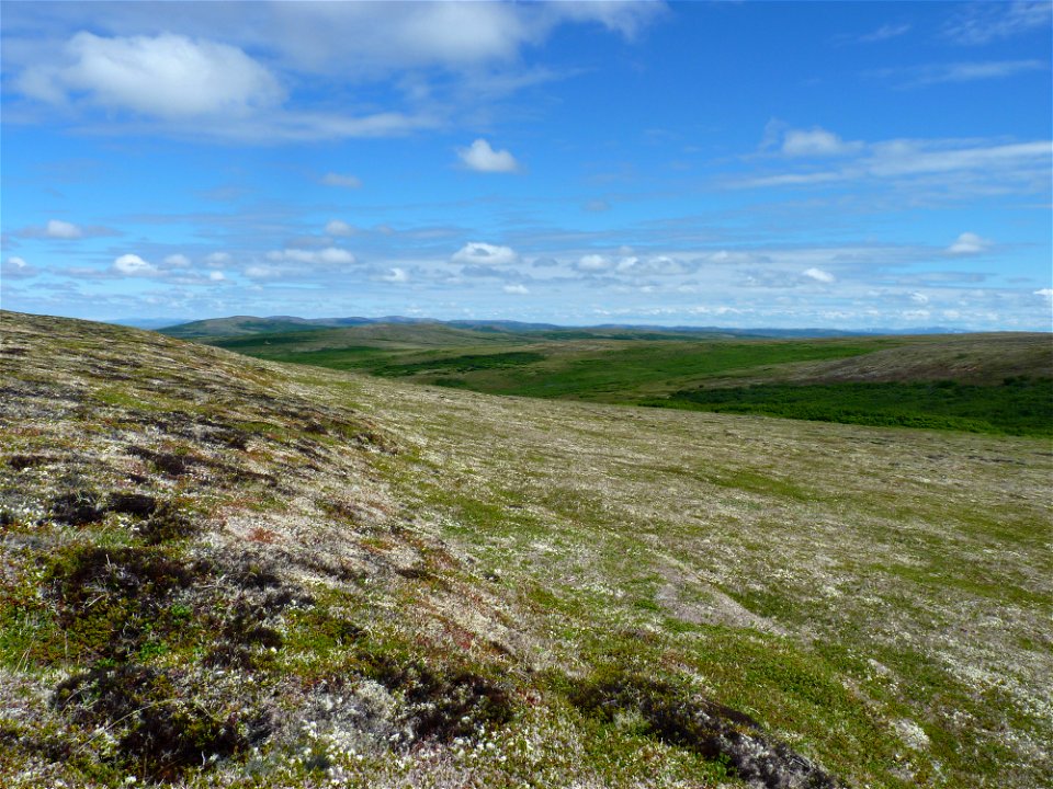 Andreafsky Wilderness