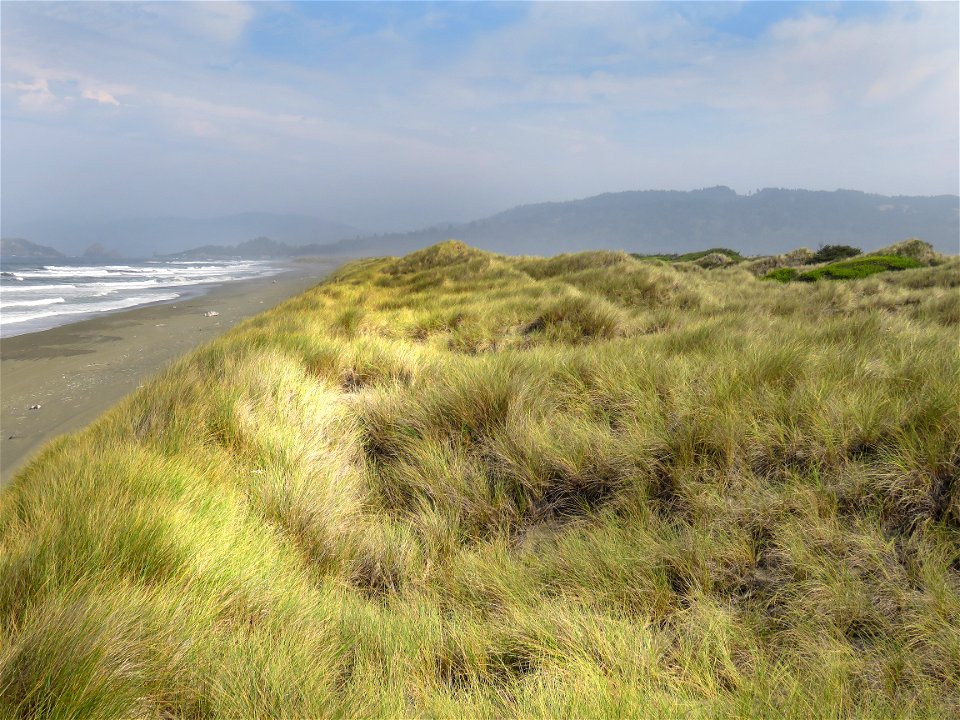 050 - TOLOWA DUNES (09-07-2021) del norte co, ca -02