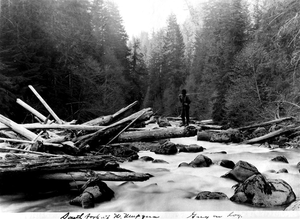 umpqua-nf---south-fork-of-north-umpqua-or-c1910jpg_49385174658_o