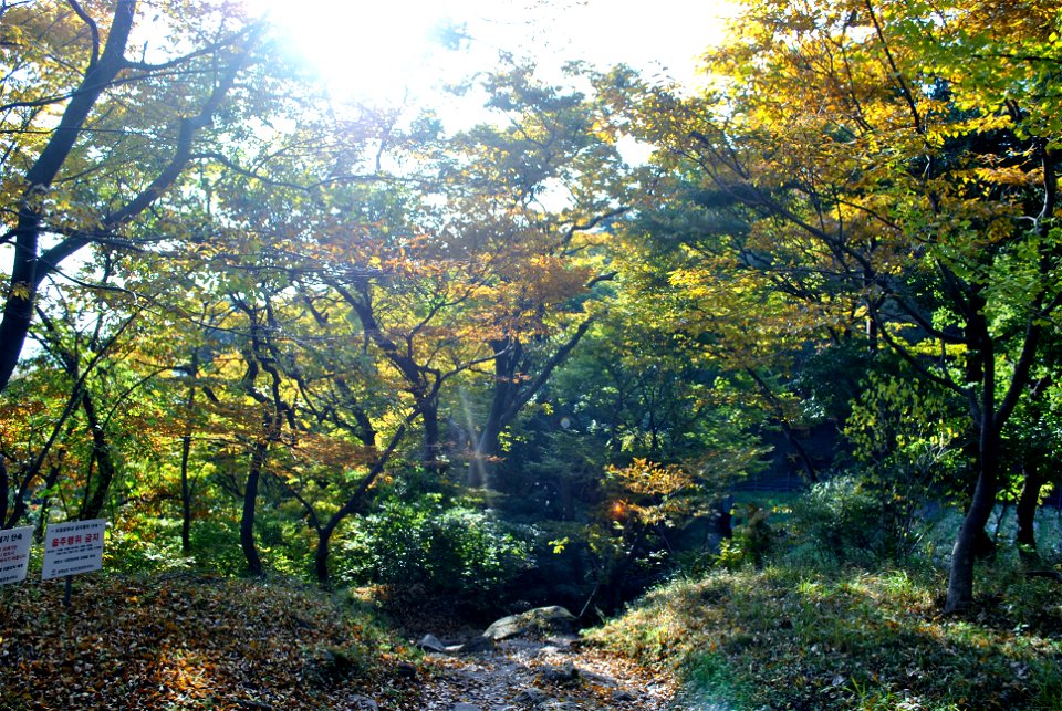 Deoksungsan Mountain