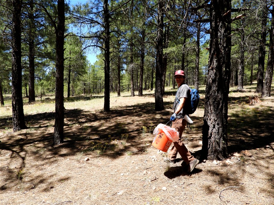 Pickin' Up in the Pines May 2022