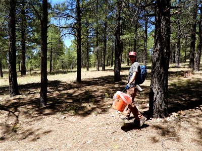 Pickin' Up in the Pines May 2022 photo