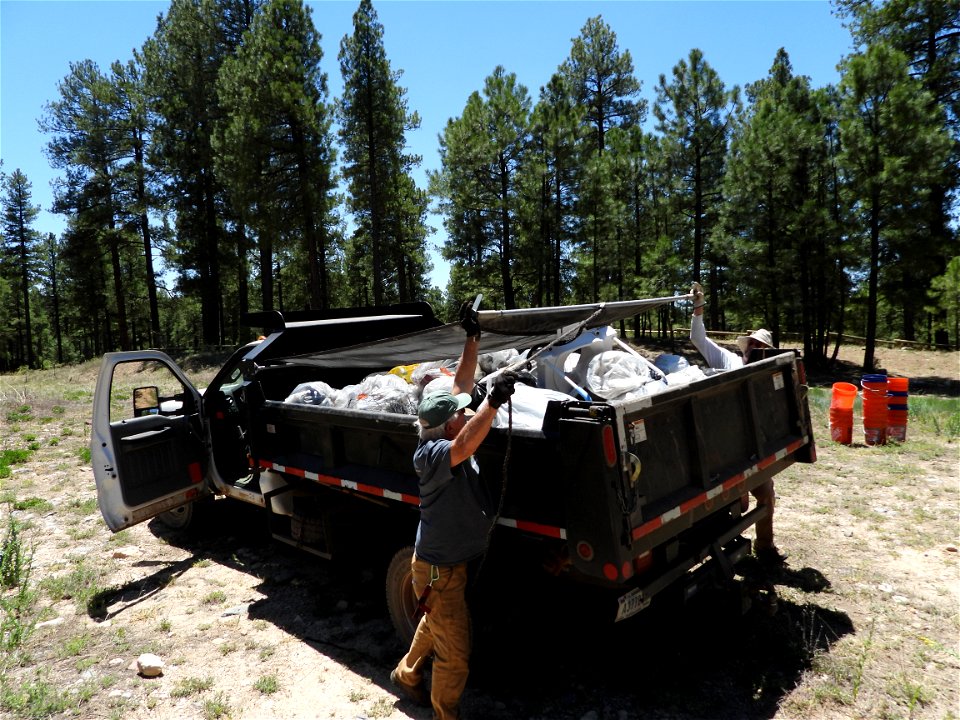 Pickin' Up in the Pines May 2022