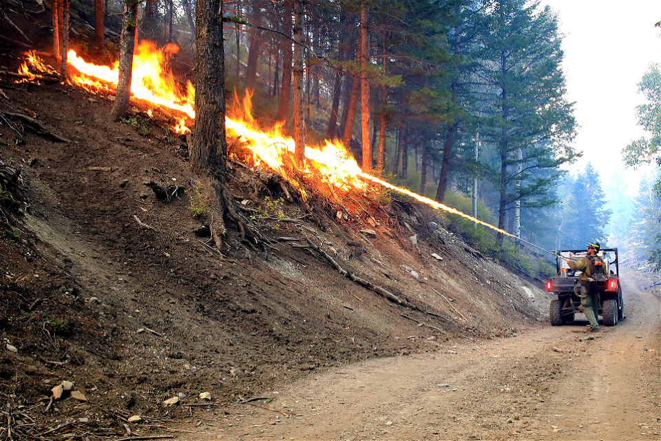 Fuels Management, Terra Torch