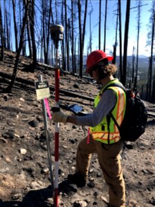 2021 BLM Fire Employee Photo Contest Category: ESR and BAER photo