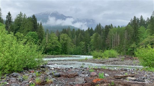 20210526_Rainy day in the North Cascades