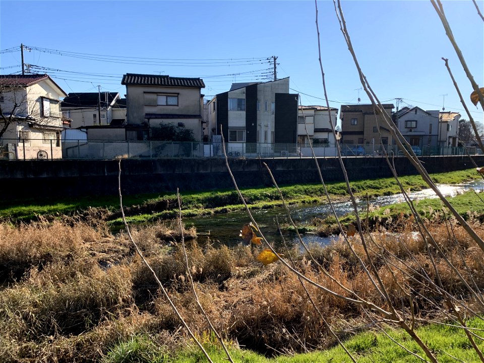 Kurome River and Ochiai River in Shinhocho Higashikurume-shi in mid-December 2