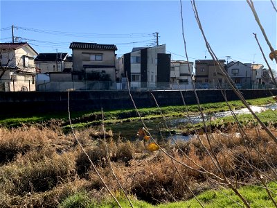 Kurome River and Ochiai River in Shinhocho Higashikurume-shi in mid-December 2