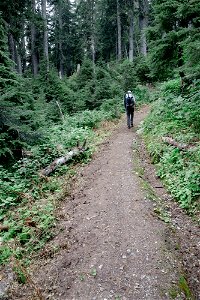 PNTA-Park Butte-Bell Pass-Mount Baker-16 photo