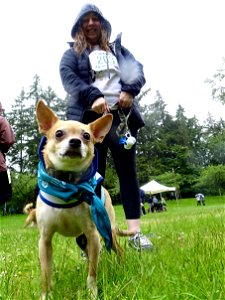DSC09126