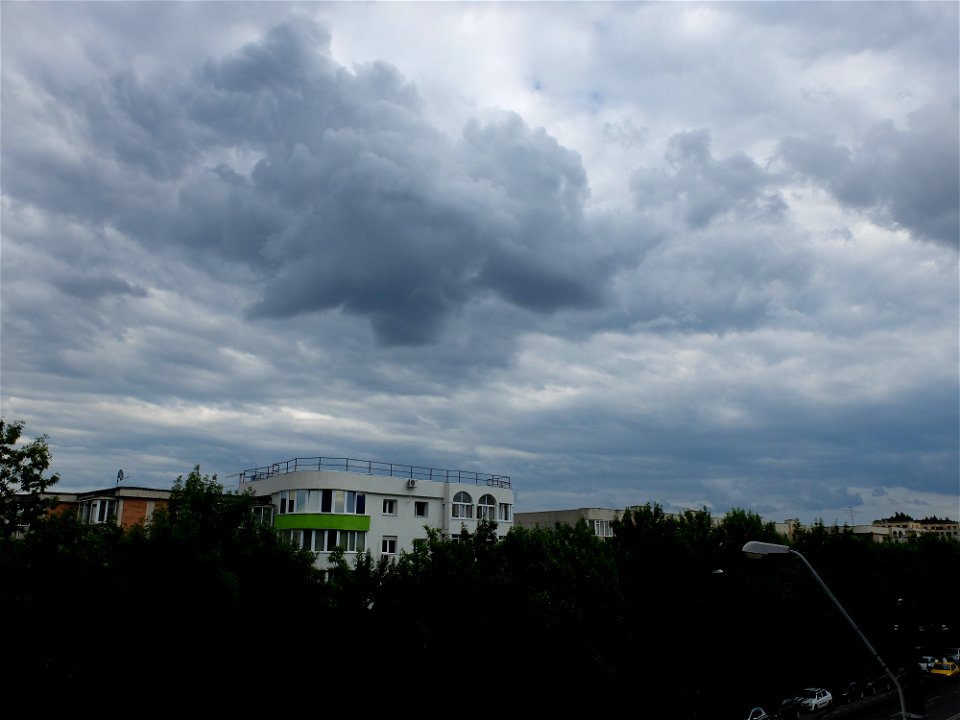 nori-sediu2015_0526_164855