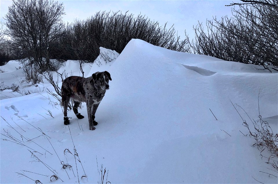 The North Side Big Drifts