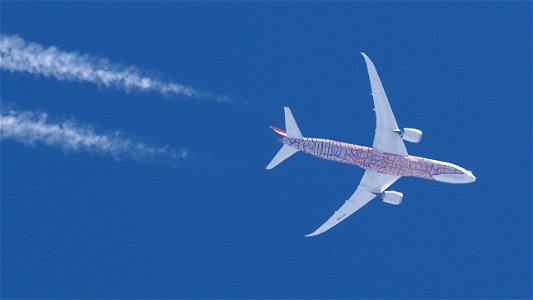 Boeing 787-9 Dreamliner VH-ZND Qantas (Yam Dreaming Livery) - London to Darwin (35000 ft.) photo