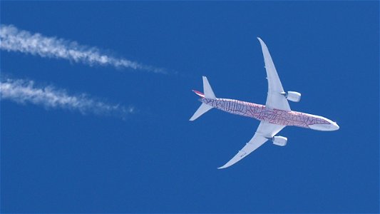Boeing 787-9 Dreamliner VH-ZND Qantas (Yam Dreaming Livery) - London to Darwin (35000 ft.)