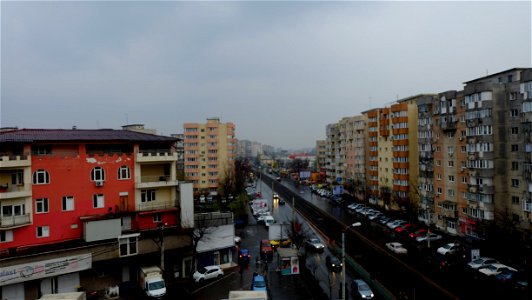 nori-CaleaVitan2015_0314_173609