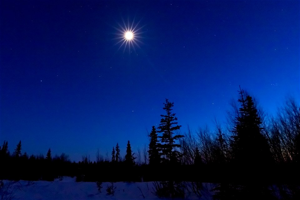 Moon on a winter night