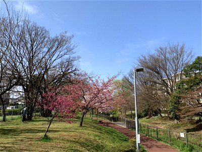 Shinyama Waterside Plaza