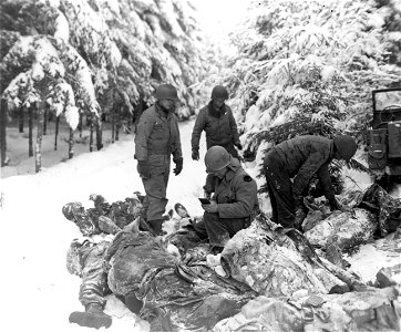 SC 199094-A - Graves registration officer identifies dead Yanks among Germans killed in Ardennes salient during 1st and 3rd Army squeeze against Von Rundstedt's lines. 11 January, 1945. photo