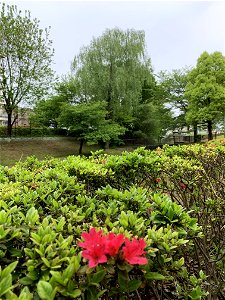 Shinyama Waterside Plaza in Higashikurume-shi