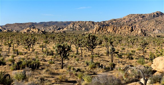 Lost Horse Valley