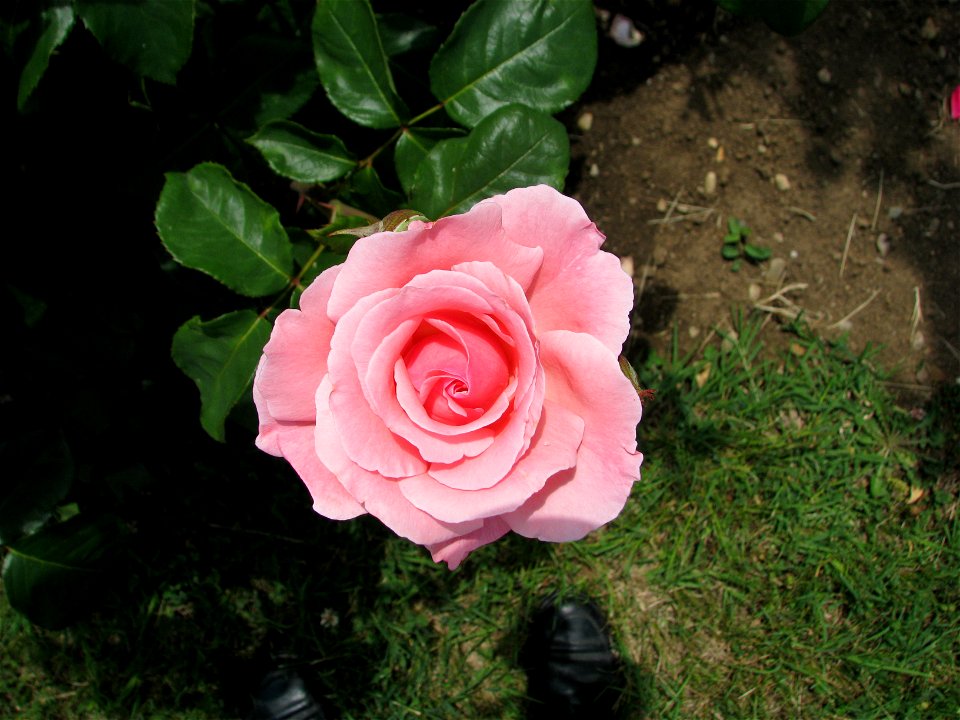 trandaf2009_0602_125957