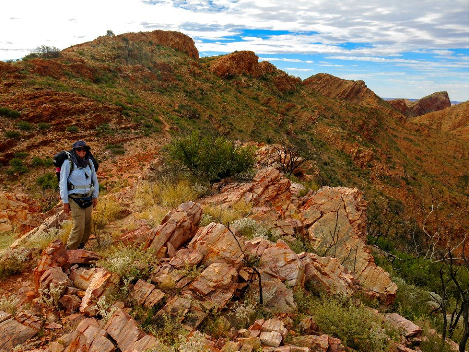 Between Stanley Chasm and Birthday Waterfall (section 4)