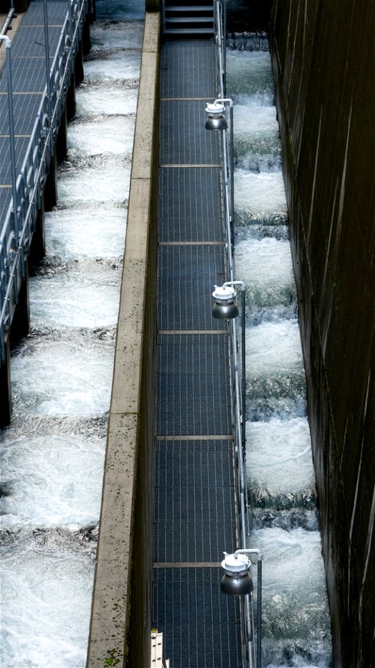20191004-hydro-tour-pacific-corp-97jpg_49385059573_o
