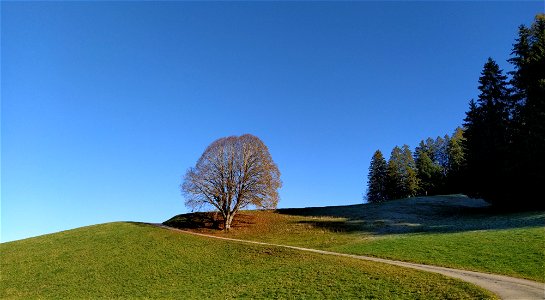 IMG_20211106_144136