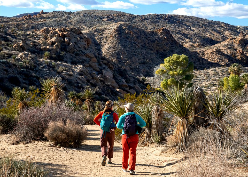 Lost Palms Oasis Hiking photo