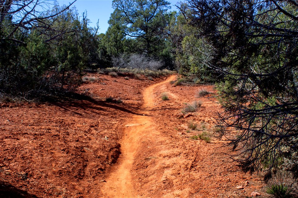 Trails: Old Post Trail
