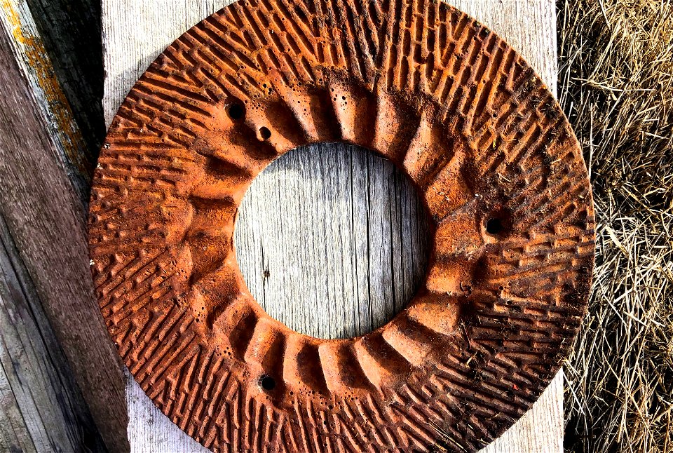 2022/365/106 Rusty Sun