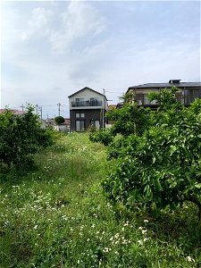 Minamidaira in Hino-shi