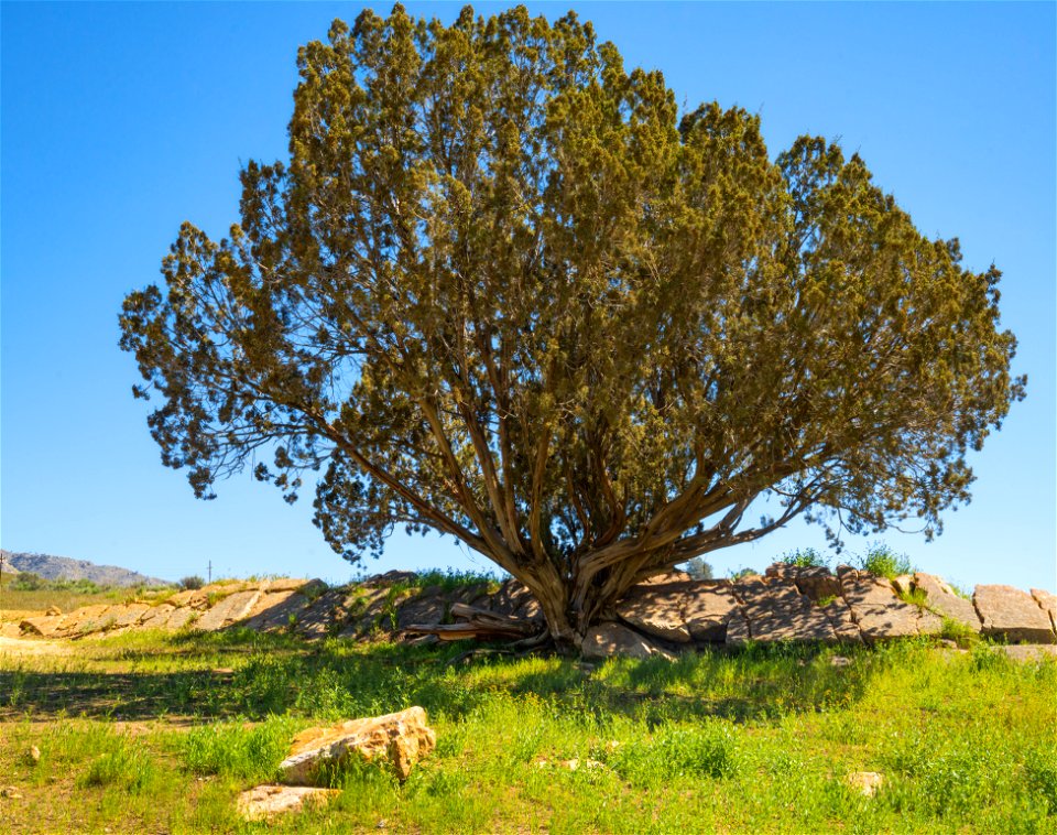 Keysville Recreation Area