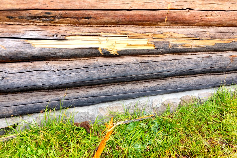 Lamar Mountain Patrol Cabin: log damage east face