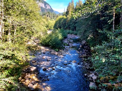 Sauk River near Bedal Campground, Mt. Baker-Snoqualmie National Forest. Photo by Anne Vassar Sept. 13, 2021.