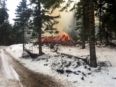 Pile burning on the Mt. Hood National Forest in 2019 - Snow photo