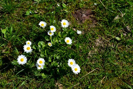 Spring ,April 2023