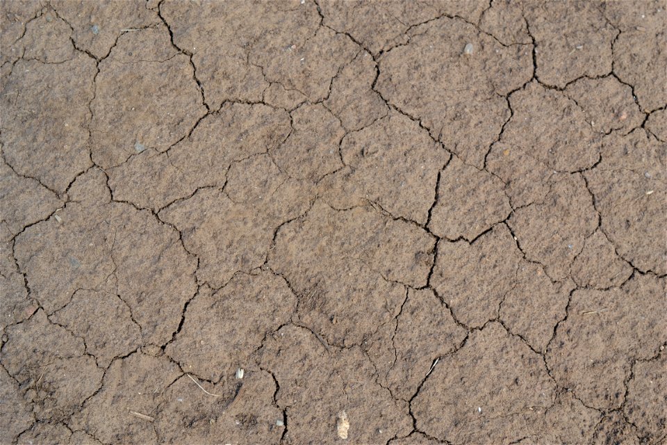 Free textures with cracks