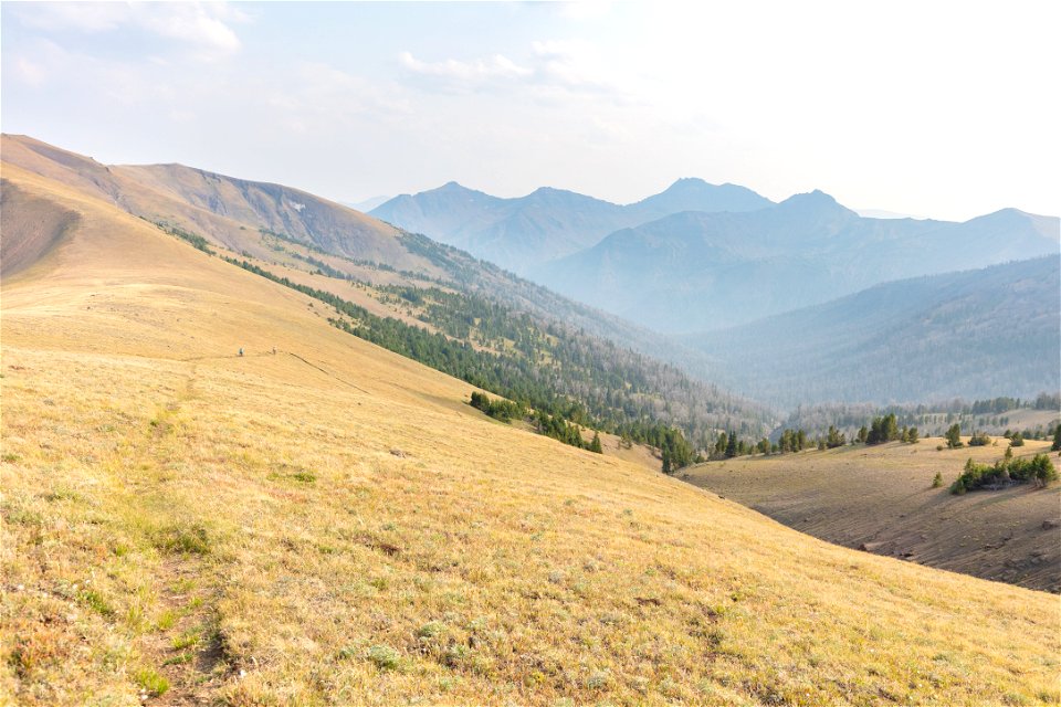 Shoshone National Forest, Sunlight Creek Trail: hiking into the alpine