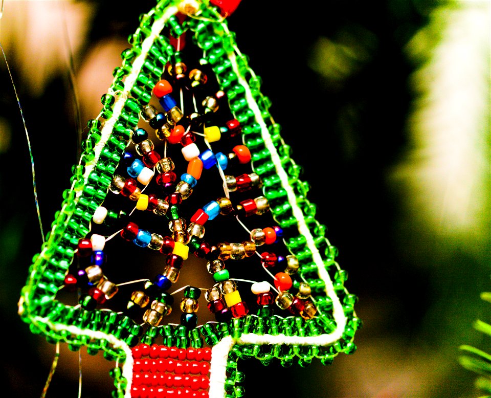 An African Christmas tree photo