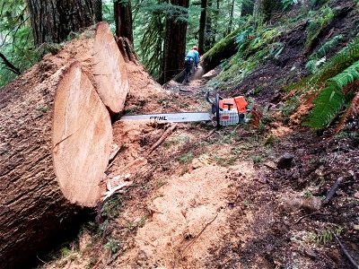 20220624-GP-Kalama Horse Camp work party photo by Jim Anderson